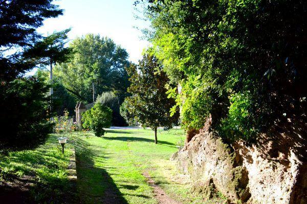 מלון Agriturismo La Sorgente Di Nepi מראה חיצוני תמונה
