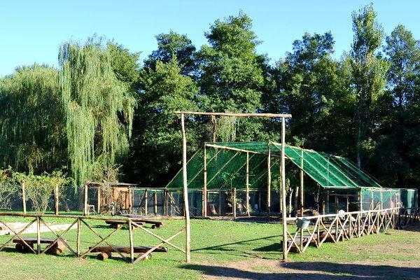 מלון Agriturismo La Sorgente Di Nepi מראה חיצוני תמונה